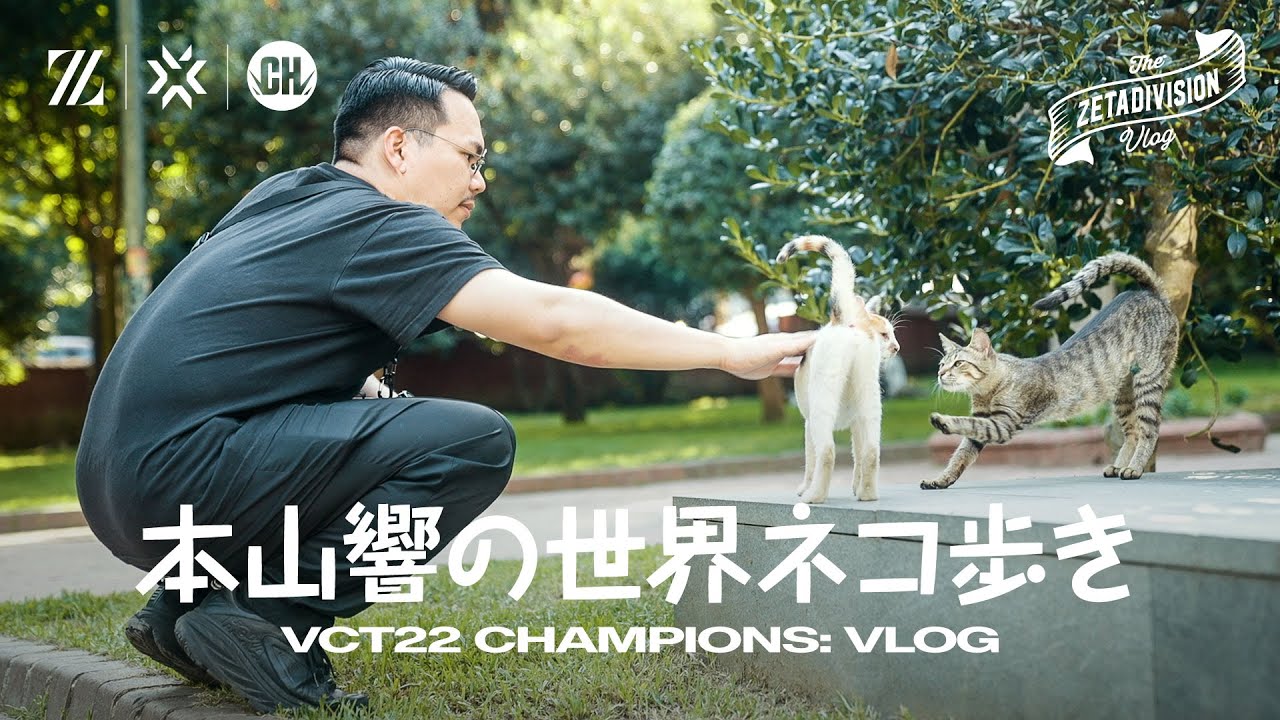 本山響の世界ネコ歩き in イスタンブール | VCT22 Champions // ZETA