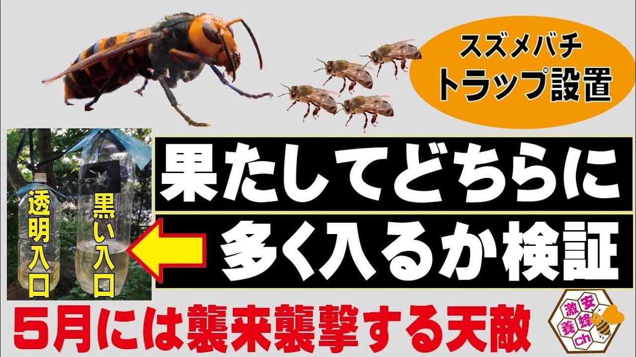 The difference in entrance makes a big difference! Trap. Even