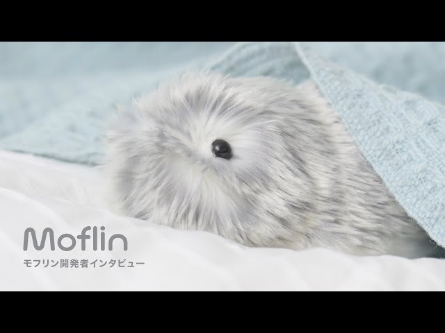 Moflin: the AI pet whose emotions develop through human