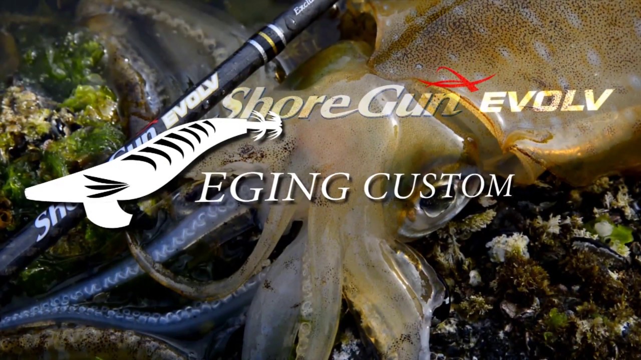 ShoreGun EVOLV / ショアガンエボルブ ｜PALMS ｜ 株式会社パームス