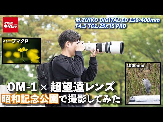 一足早く秋の気分】OM-1と超望遠レンズ使い昭和記念公園で撮影！野鳥