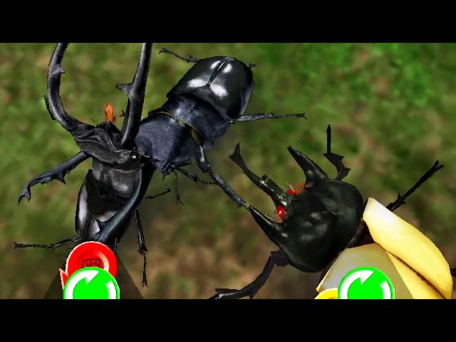 PSA10 ムシキング アダー完結編 マンディブラリスフタマタ