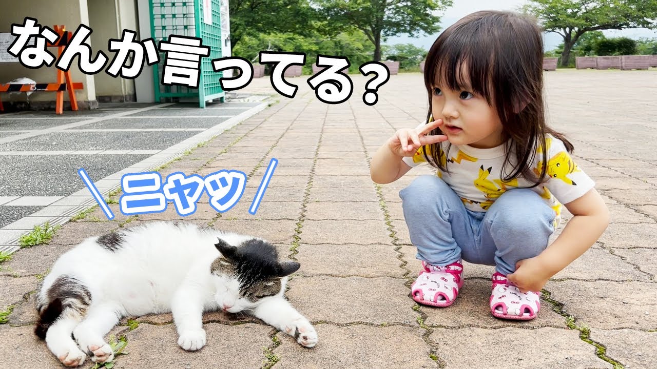A Japanese 3-year-old girl talking to a stray cat who talks while