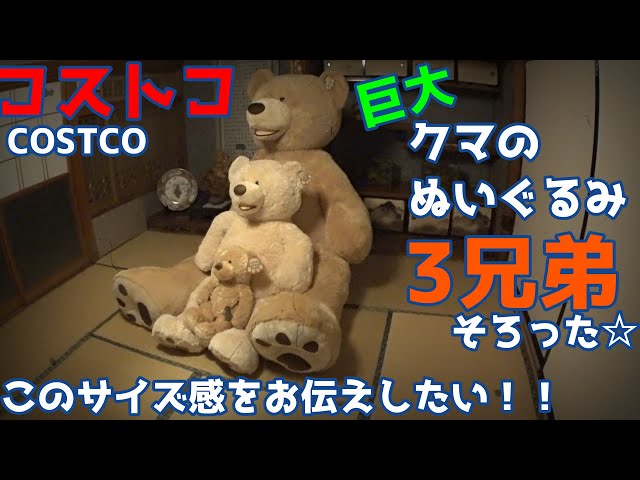 Complete set of Costco giant stuffed animals [3 brothers