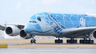 ANA debuts giant sea turtle jet for direct flights to Hawaii at