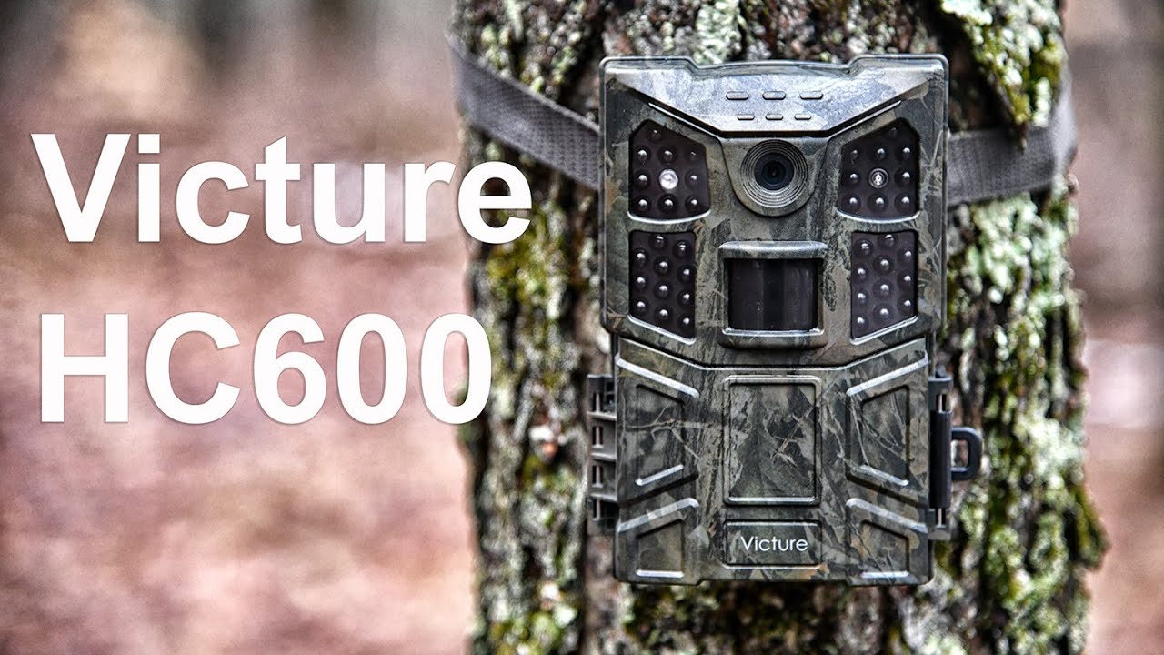 Victure HC600 Trail Camera Review - YouTube