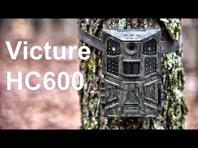 Victure HC600 Trail Camera Review - YouTube