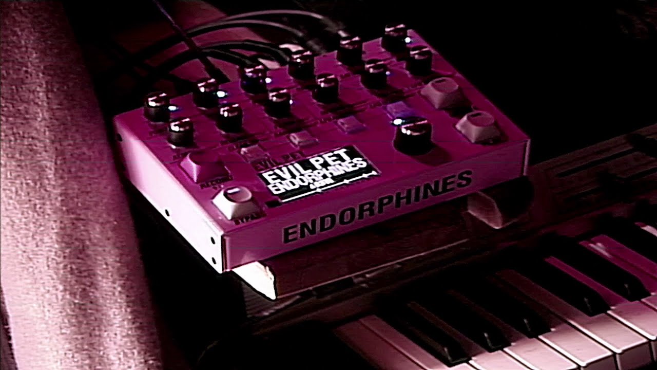 EVIL PET — ENDORPHIN.ES