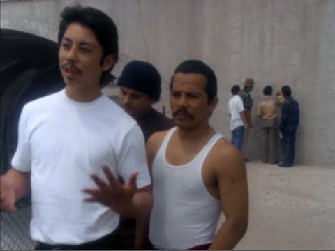 BALD & BROWN- WICKED (MR.BALD & BROWN - YouTube