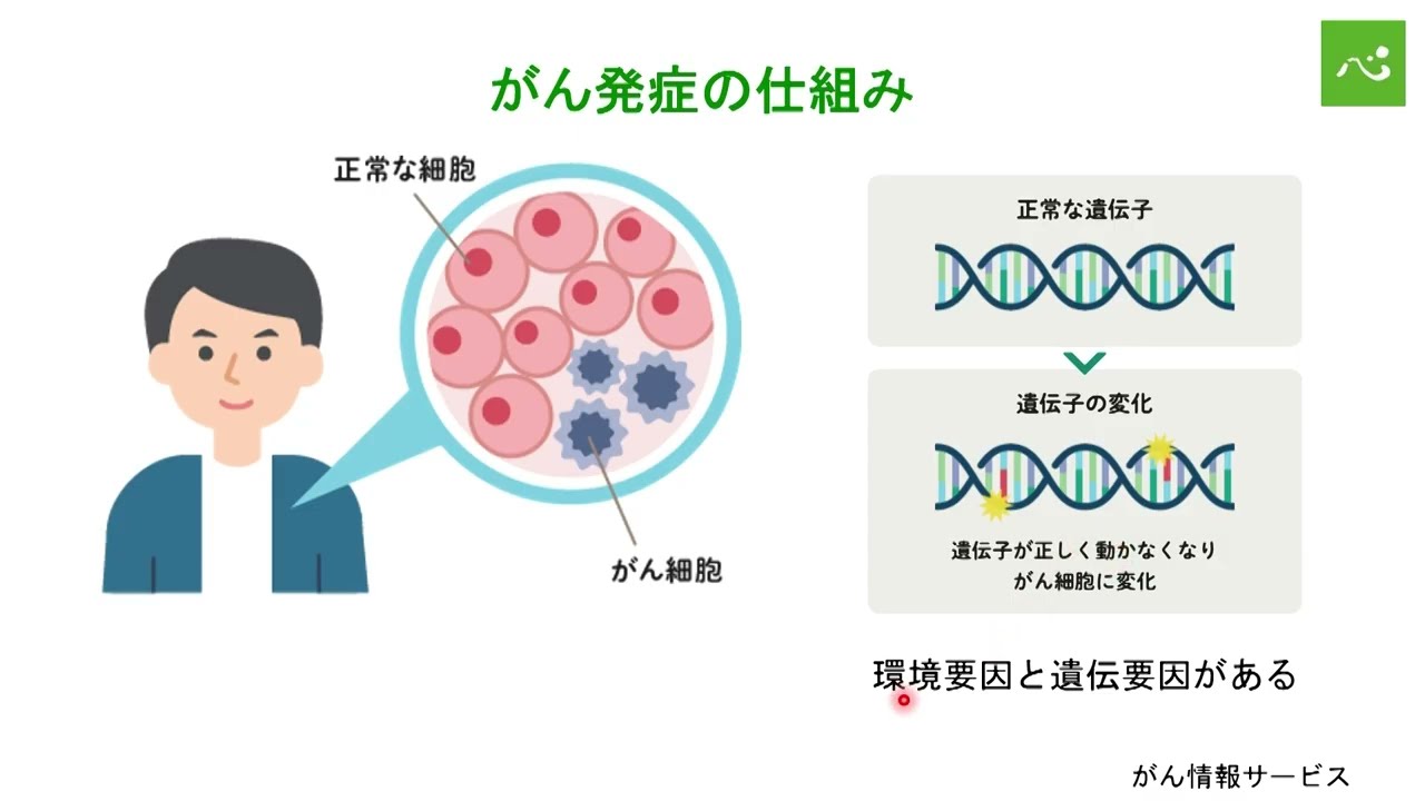 がんはどうしてできる？胃がんの診断と治療法 （副院長、胃外科 寺島
