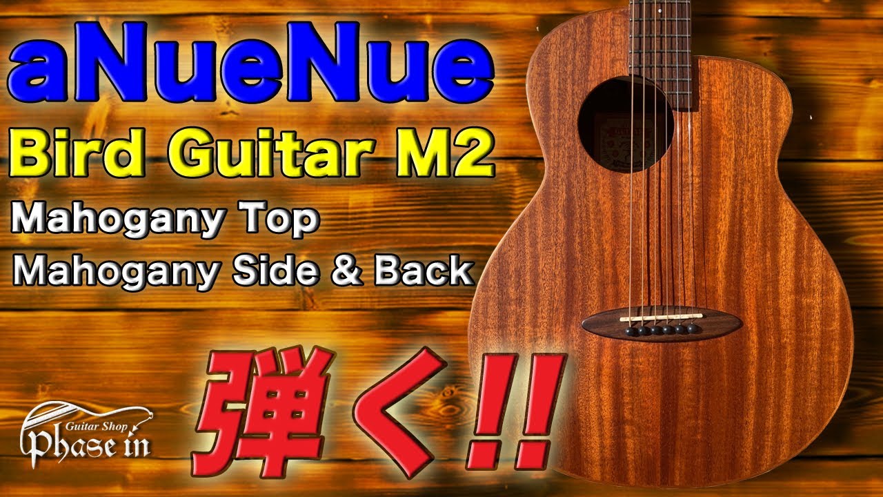 aNueNue Bird Guitar M2 弾く！ - YouTube