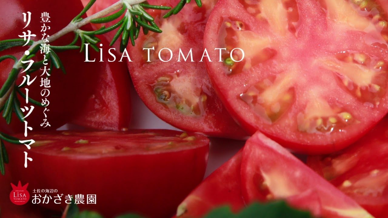 リサ・フルーツトマト【独自の酸味と甘み】 | 高知県おかざき農園