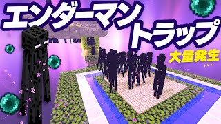 Dramatically increase your standard of living! Build an Enderman