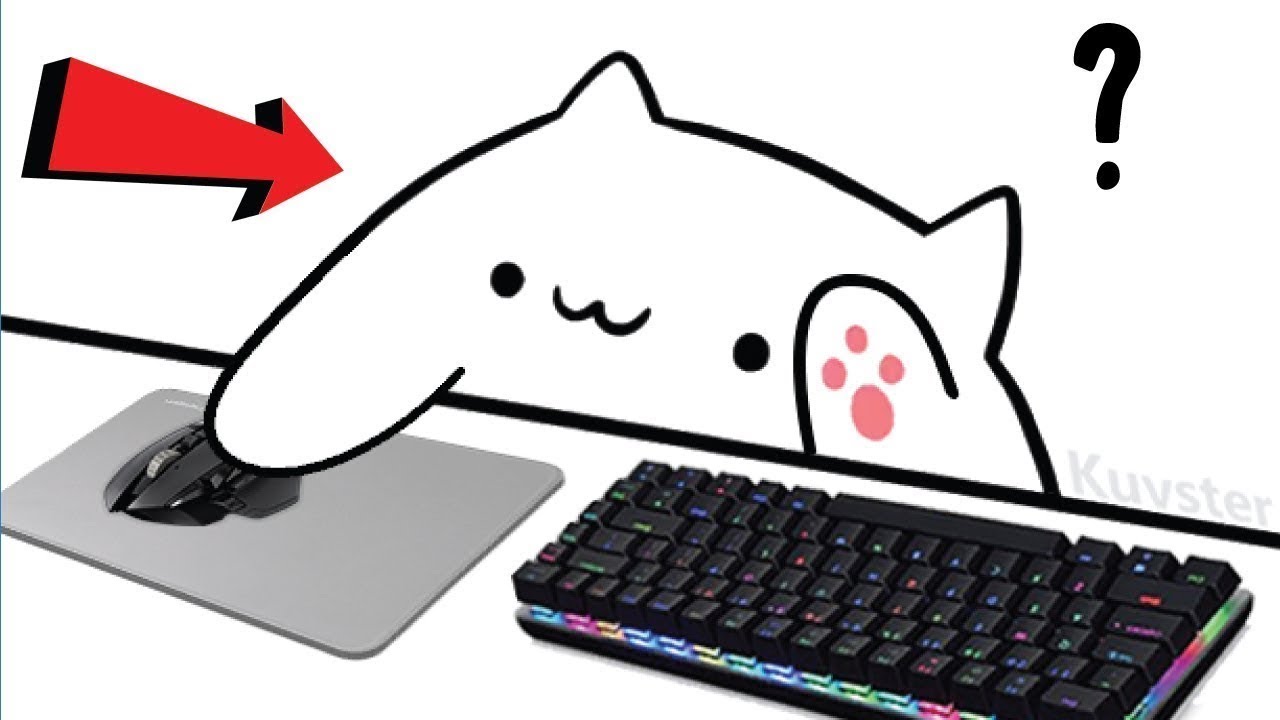 How To Get And Set Up Bongo Cat Cam V2! (Streamlabs, OBS) - YouTube