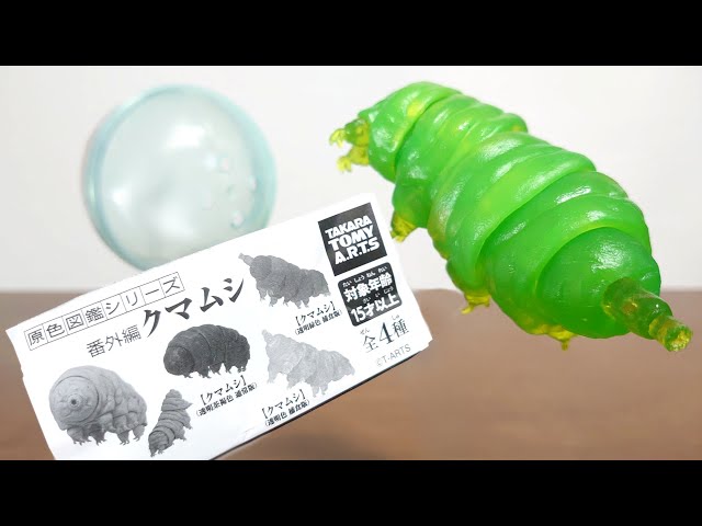 A tardigrade becomes a figure!) Primary Color Encyclopedia Series