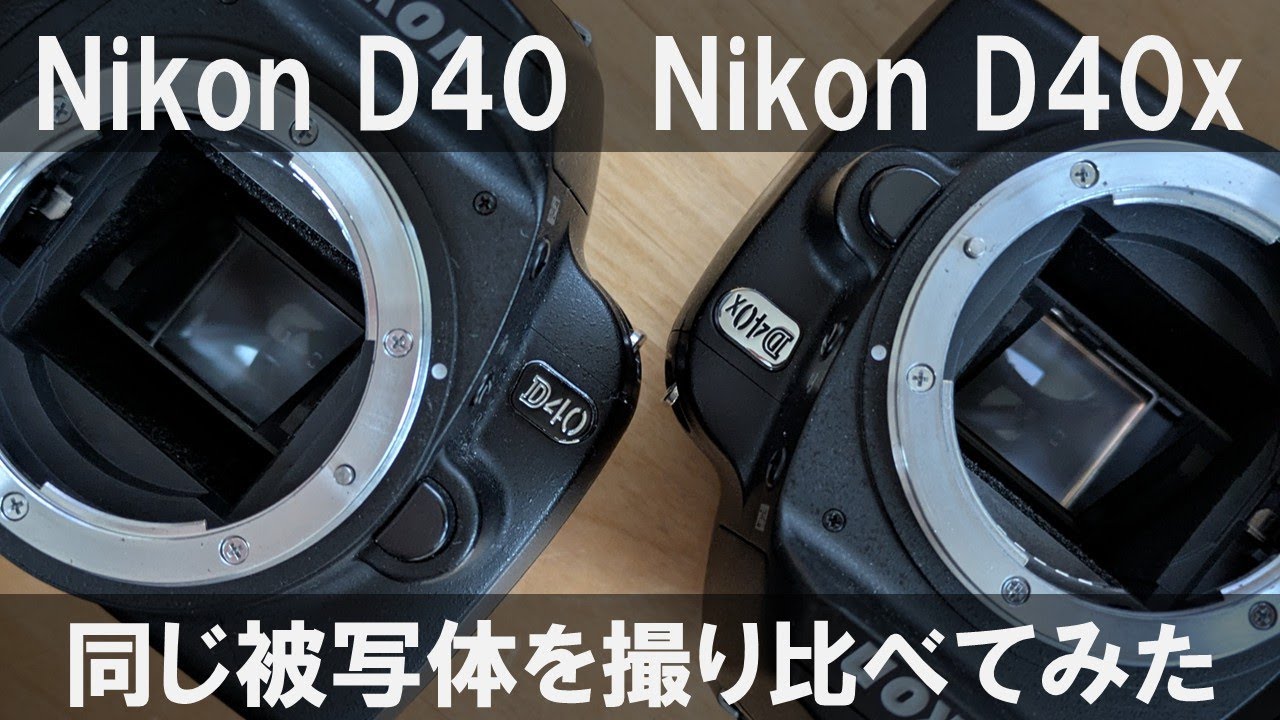 Nikon D40ったら、やさしく頬を包むようなシャッター音を鳴らして僕を