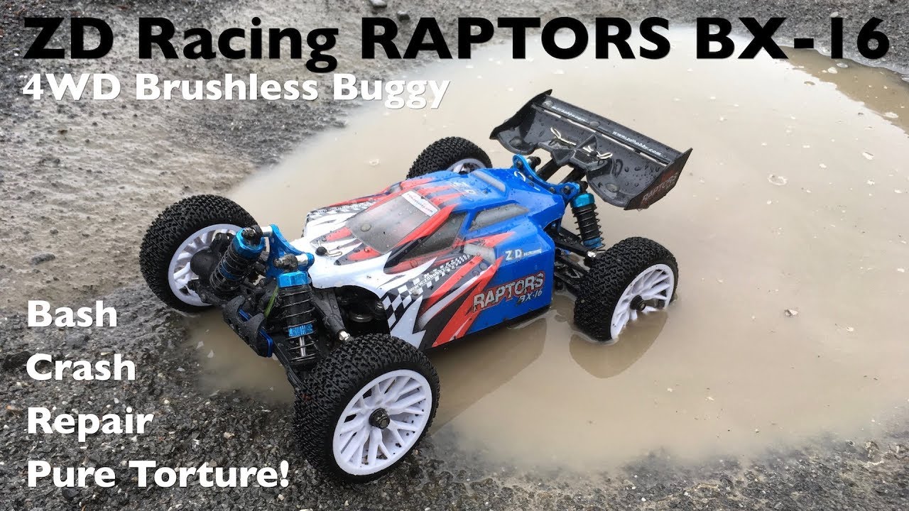 ZD Racing RAPTORS BX-16 4WD Brushless Buggy: Bash, Torture, Crash