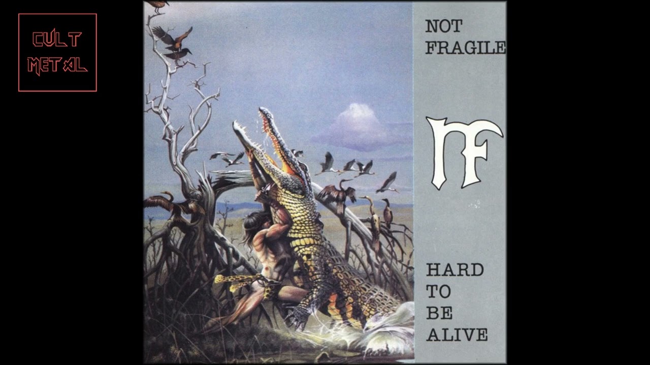 Not Fragile - Hard To Be Alive (Full Album) - YouTube