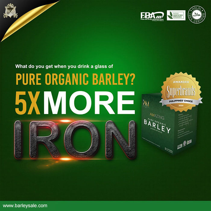 Original Barley 3 BOXES - BARLEY SALE