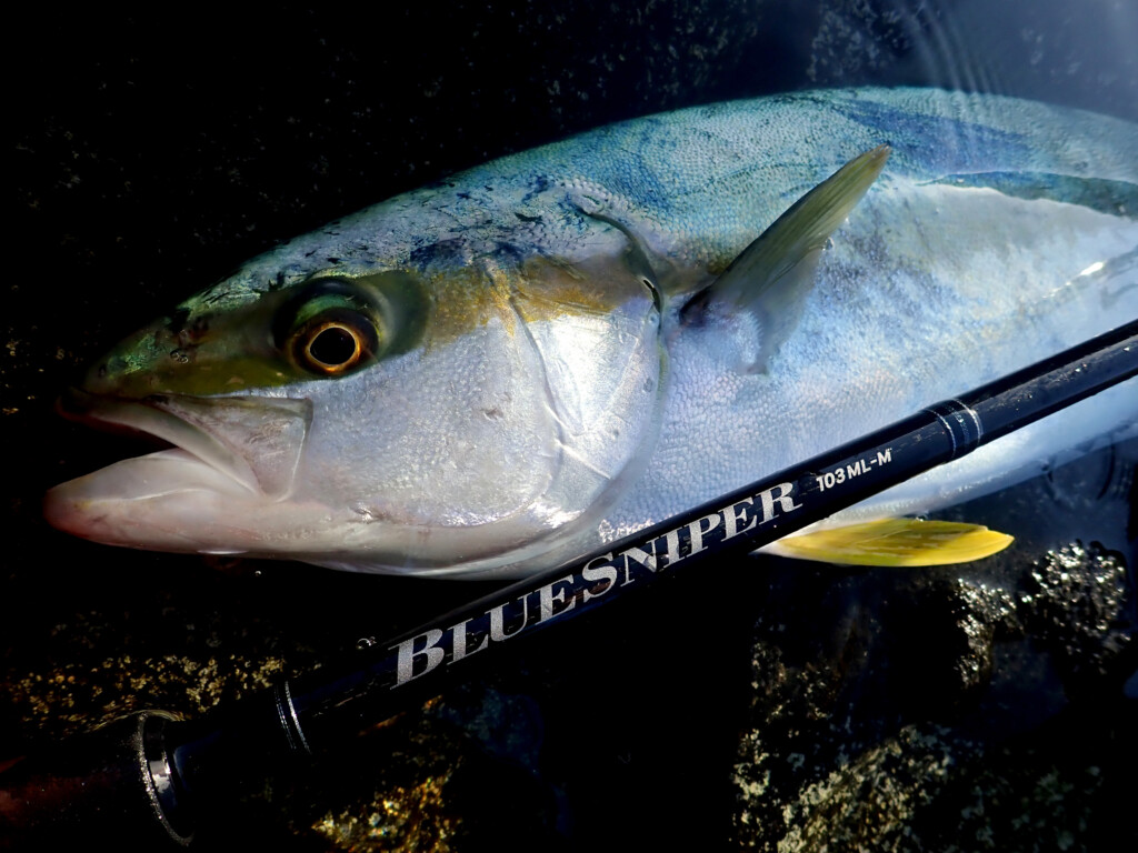 6年ぶりのフルリニューアル】ヤマガブランクスを初期から支え続ける名