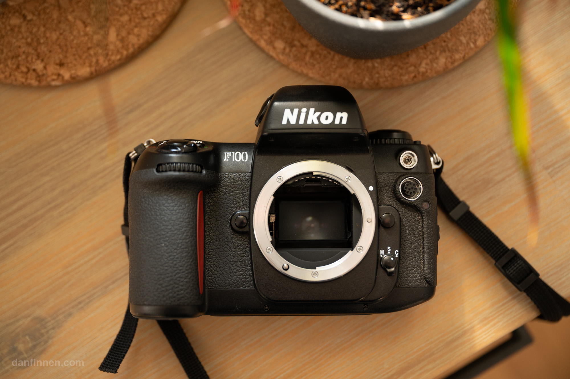 How to Shoot the Nikon F100 35mm Film Camera