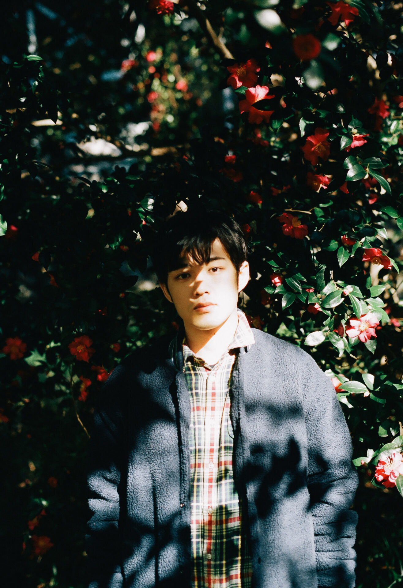 作例レビュー】CONTAX T2｜コンタックスのフィルムカメラ｜#わたしの