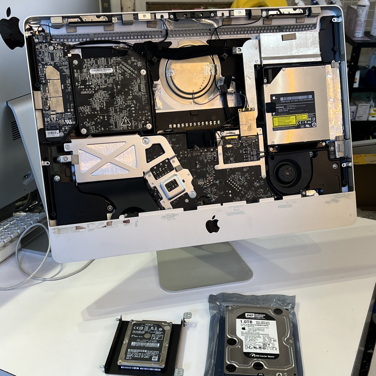 IMG_2363.jpg?fit=1200,1200&ssl