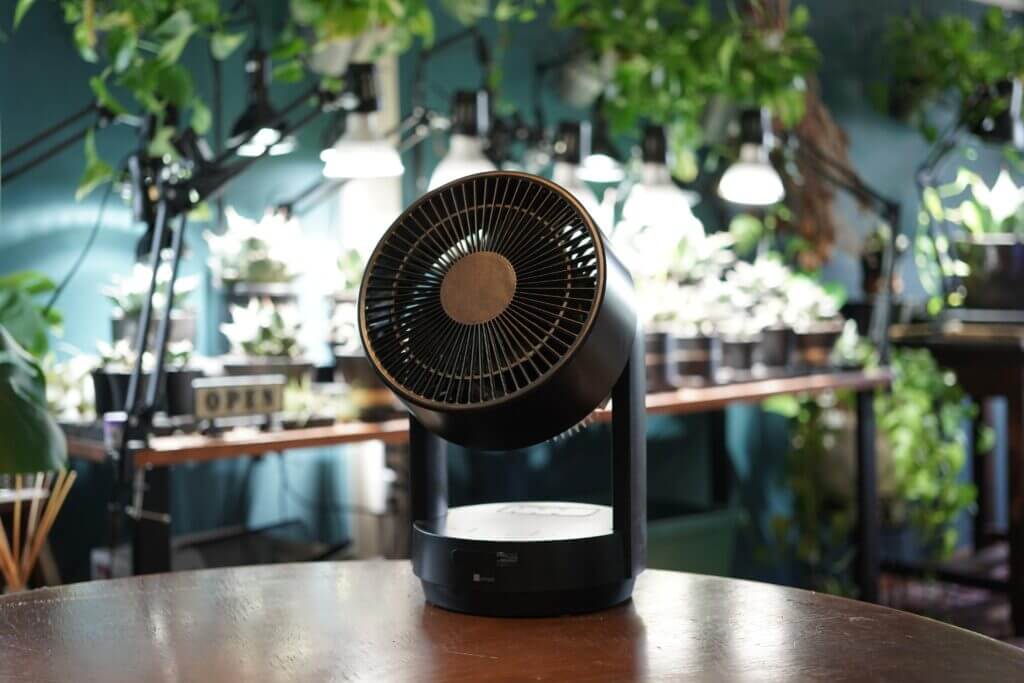 アガベ室内管理】サーキュレーターの必要性と当て方について｜ELBAZ FARM