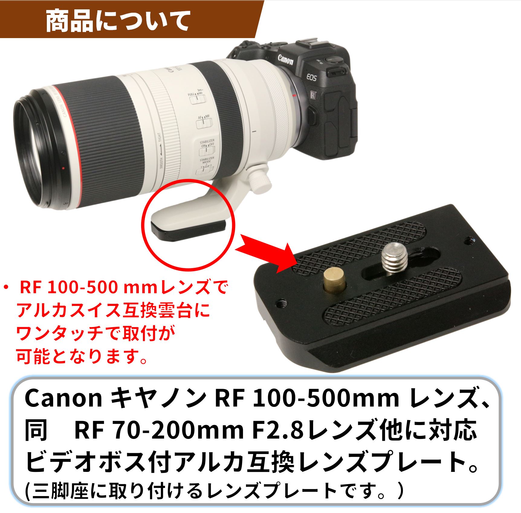 キヤノン RF 100-500mm レンズ / RF 70-200 F2.8レンズ対応 レンズ