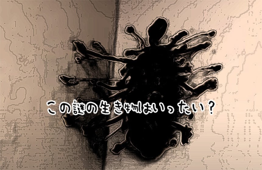 b9e58083.jpg?crop=1&w=720&h=