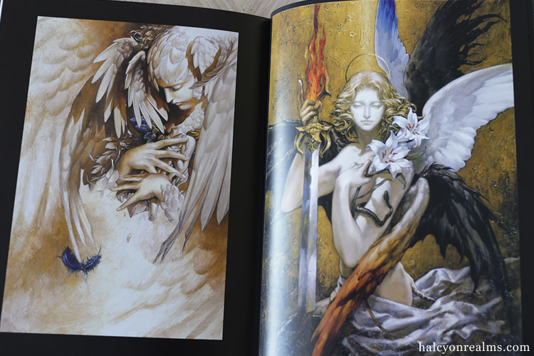 Santa Lilio Sangre - Ayami Kojima Artworks Book Review - Halcyon