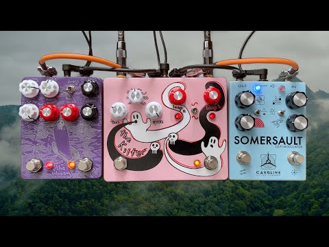 The Kilter – swing-swanger – Champion Leccy