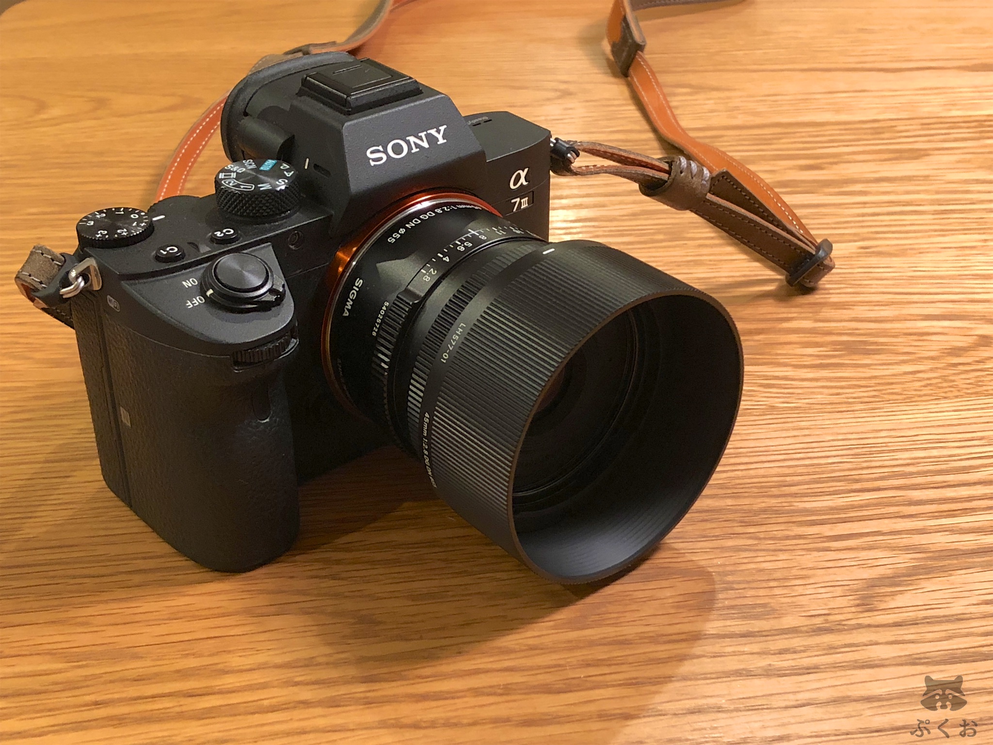 SIGMA 45mm F2.8 DG DN for SONY Eマウントを装着！