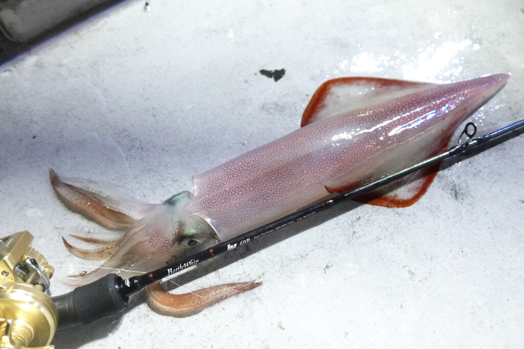 試行錯誤で釣果を伸ばす！ヤマガブランクススタッフのリアルな