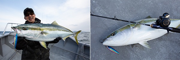 ライトジギングロッドの最高峰「SALTIGA（ソルティガ）LJ」に新機種が