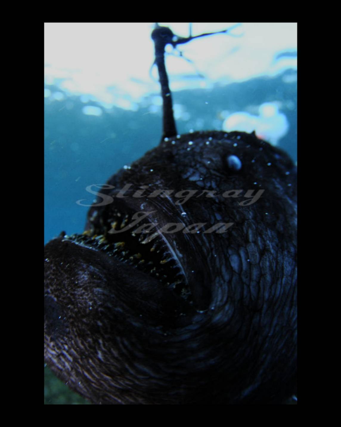 1603789278376.jpg?fit=960,1200