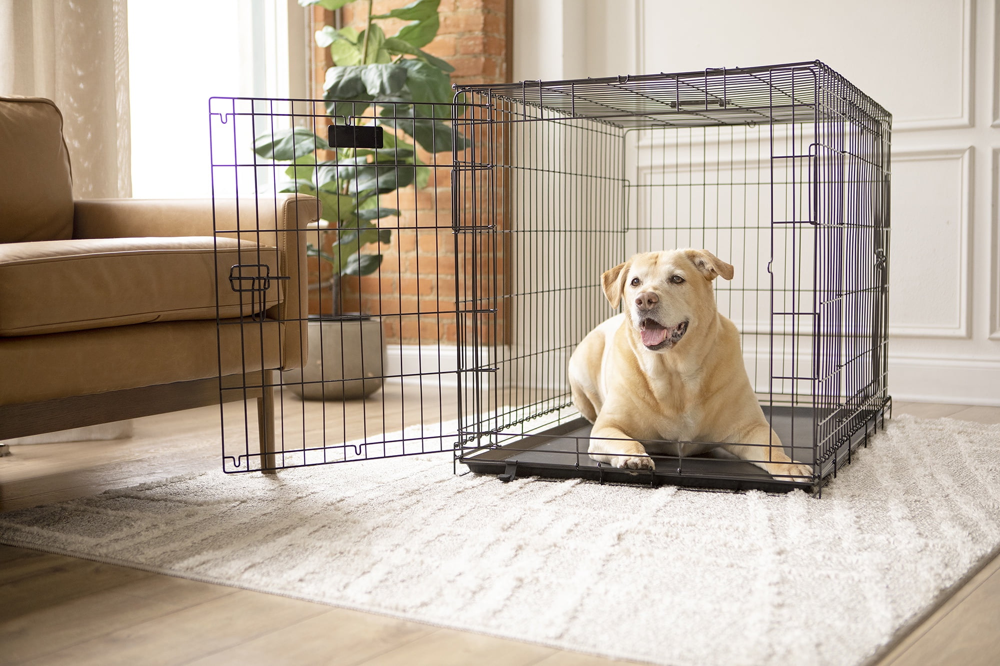 Precision Pet Products 1-Door Wire Dog Crate With Removable Pan