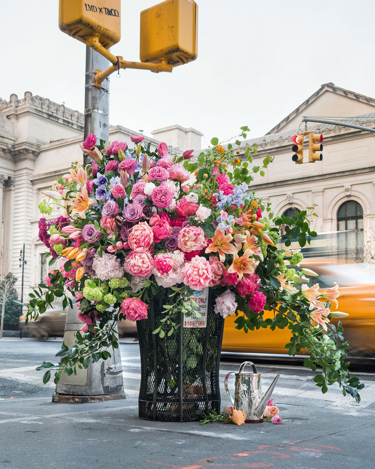 Flower: Exploring the World in Bloom – ICA Retail Store