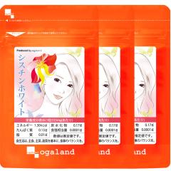 アネッサ パーフェクトUV ブラッシュオンパウダー 本体 ブラッシュオン