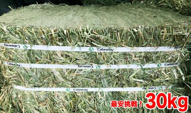 牧草 チモシー ダブルプレス 約30kg 1番刈り(アメリカ産) 令和7年産