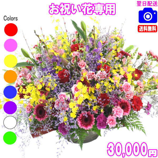 土日祝も営業！選べる！お祝い専用フラワー30,000円【送料無料】画像