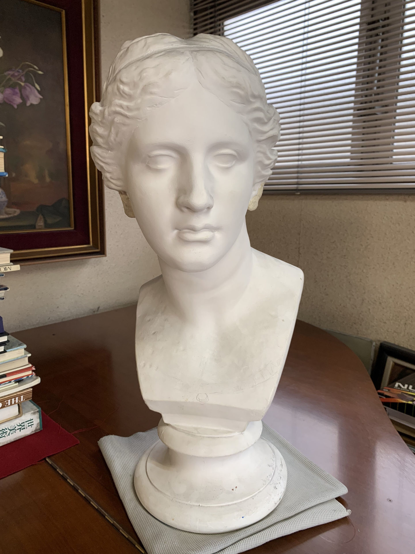 石膏物語】ミロのヴィーナス胸像 瞬間を捉えた人間らしい造形の秘密と