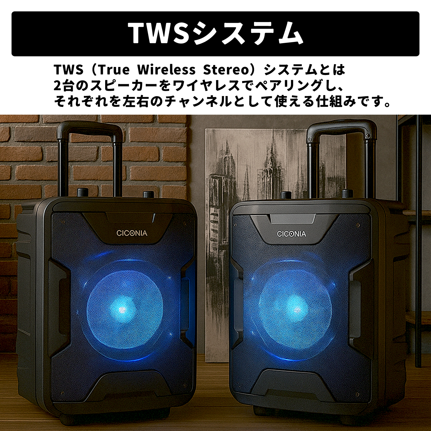 CICONIA チコニア ポータブルスピーカー ワイヤレスマイク2本付き TY
