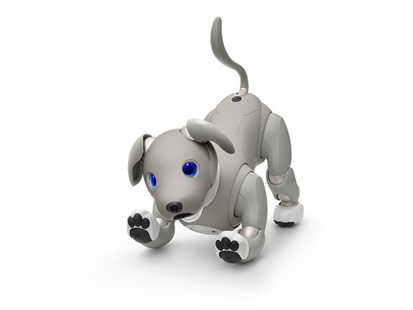 aiboが“黒ごまアイス”カラーに ソニー、21年限定カラーを発表