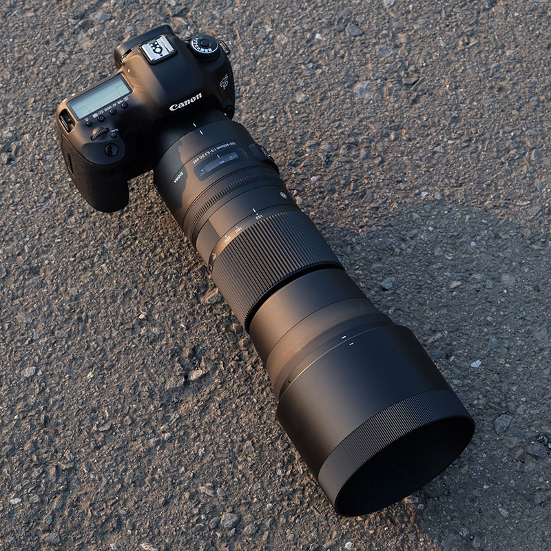 気軽に携行して手持ちで撮れる超望遠ズーム――シグマ「150-600mm F5-6.3