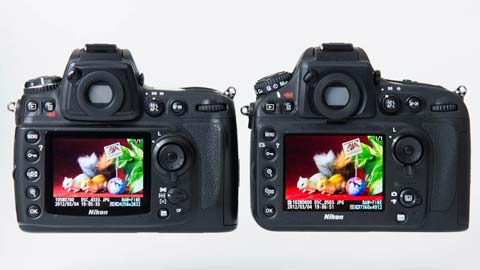 有効3630万画素のフルサイズ機――ニコン「D800」インプレッション（1/4