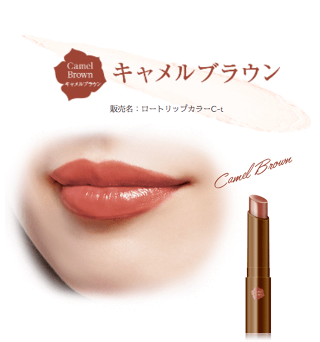 リップザカラー3種12点セット（キャメルブラウン・ピンクコーラル