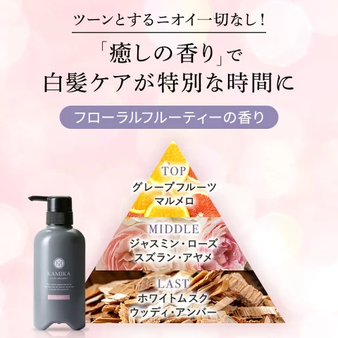 タメせる！ECH「KAMIKA白髪染めカラートリートメント ローズブラウン×2個」