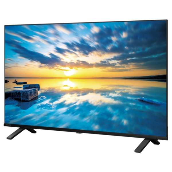 TVS REGZA 4K液晶レグザ43V型 新4K衛星放送・地上・BS・110度CS