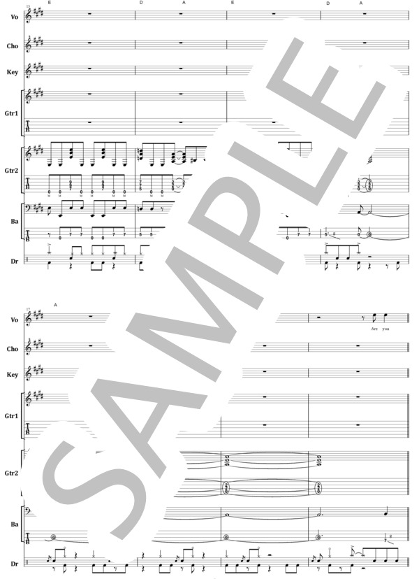 楽譜】マイケル・シェンカー / アームド・アンド・レディ バンド